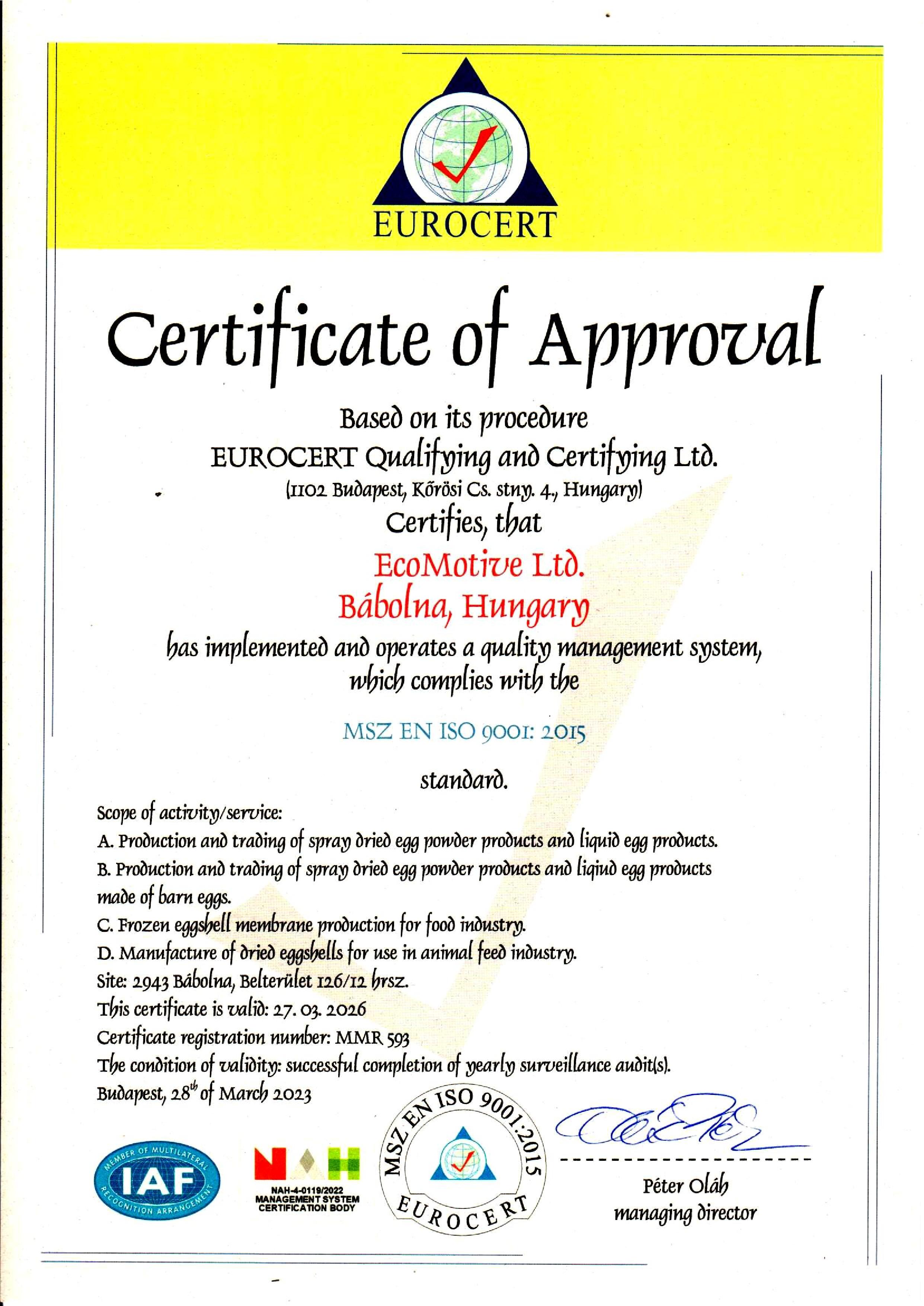 ISO 9001